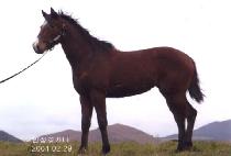 �������� (GAEMAGOWON) ����