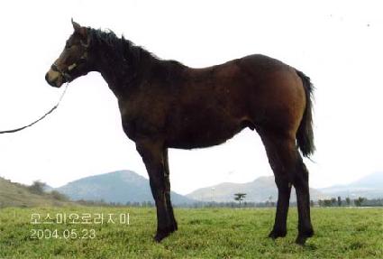 ������� ����