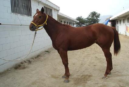 ����Ʈ�� ����