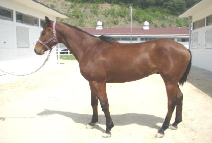 �߿����� ����