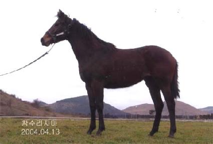 �������йи� ����