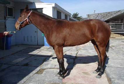 �ٶ��ٶ� ����