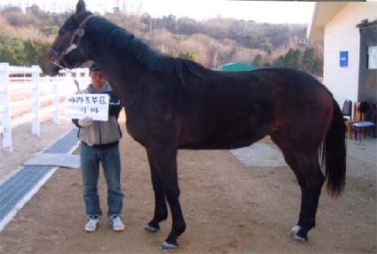 �ް��̷� ����