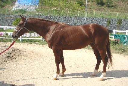 �泲�ô� ����