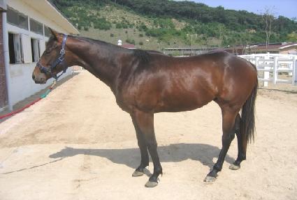 �۷θ����� ����