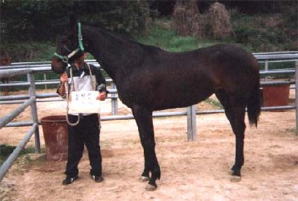 �۷ι����� ����