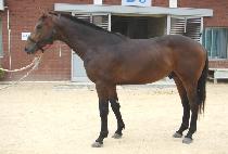 JEYEONG SANMAEK picture