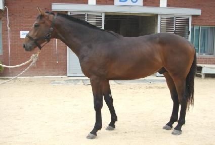 ������� ����