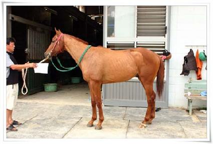 ����Դ� ����