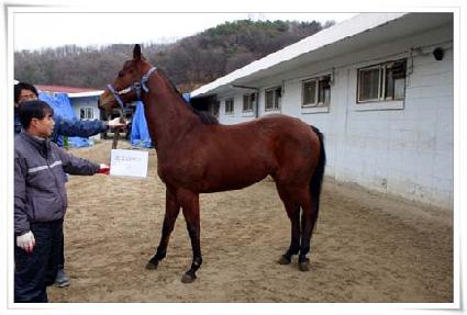 �ǵ���ڽ� ����