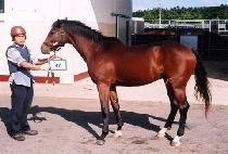 ��õȰ�� (GWACHEONHWALBO) ����