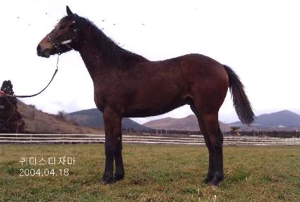 ź�� ����