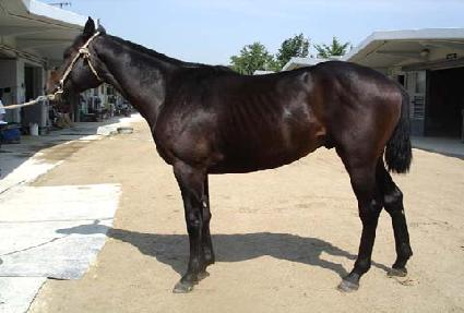 ��õ�ű� ����