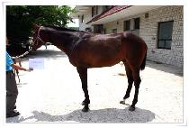 ũ�γ뽺 (KRONOS) ����