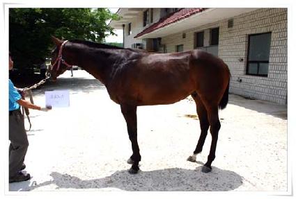 ũ�γ뽺 ����