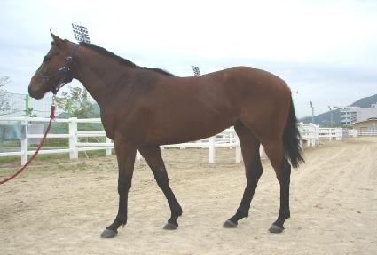 ������� ����