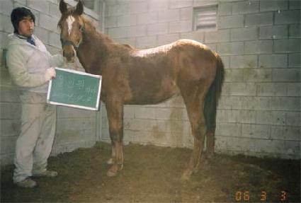 ȭ��ƮȦ ����