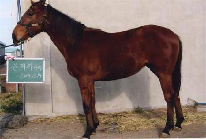 �����ǲ� ����