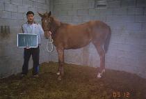 �뼺�� (DAESEONGJU) ����