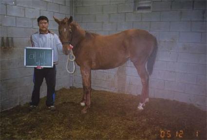 �뼺�� ����