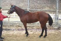 ������� (MUJEOKBISANG) ����