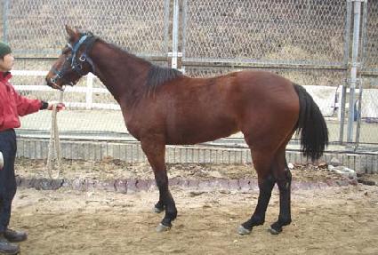 ������� ����