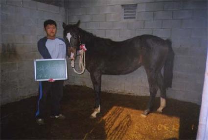 �Ŀ������� ����