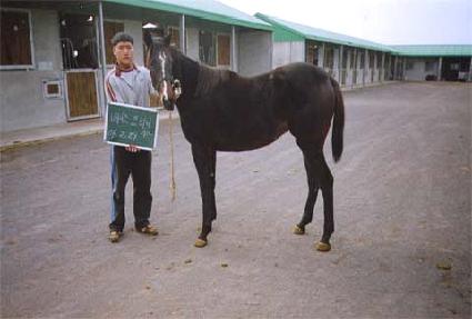 ����Ŭ�� ����