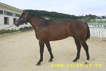 �׷� (HANGRYONG) ����