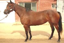 ���̽������ (NICE HERO) ����