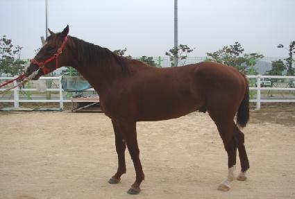 ��۸��� ����