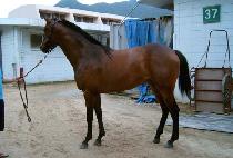 �������� (JOEUN NEWS) ����