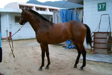 �������� ����