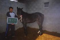 ������� (SNOW MANE) ����