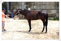 �ʰ�ǳ (CHOGANGPUNG) ����