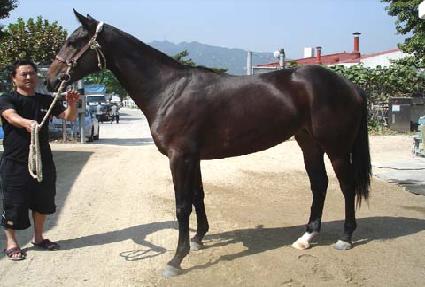 ������ ����