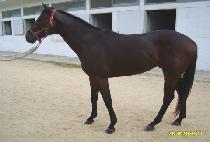 �����հ� (MYEONGMUN WANGGA) ����