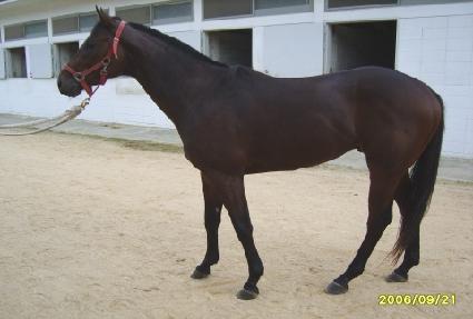 �����հ� ����