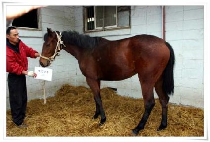 �������� ����