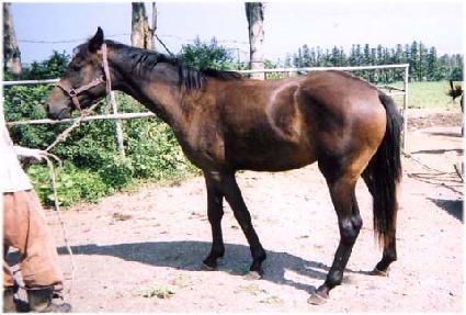 �����ο� ����