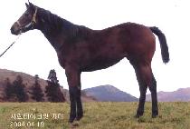 �������� (DONGBANG JEIL) ����