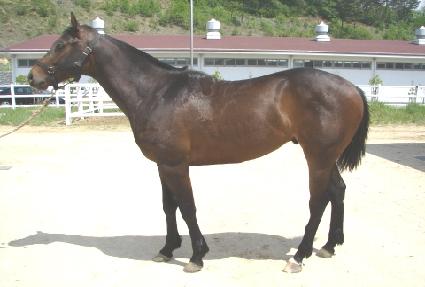 �λ�ű� ����