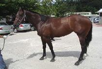 �ֿ��� (SSANGOKGOL) ����