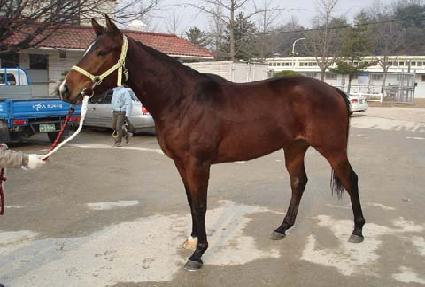 �ö��װ� ����