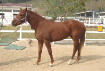 �����Ѽ��� (WIDAEHAN SEONGGONG) ����