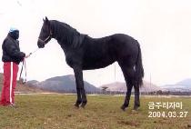 ���ȣ�� (HEUKDUHORYEONG) ����