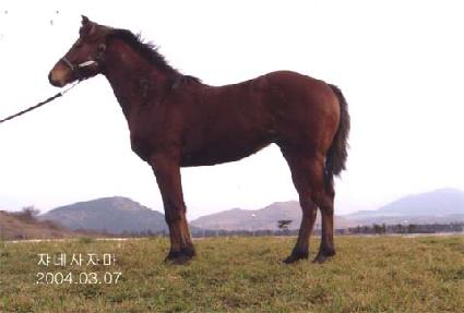 �ƶ�� ����