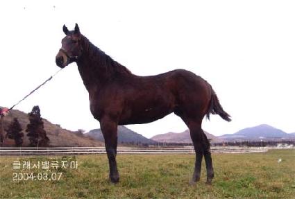 �����ǳ ����