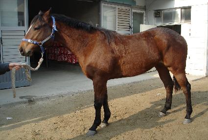 �չ߱� ����