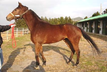 ���� ����